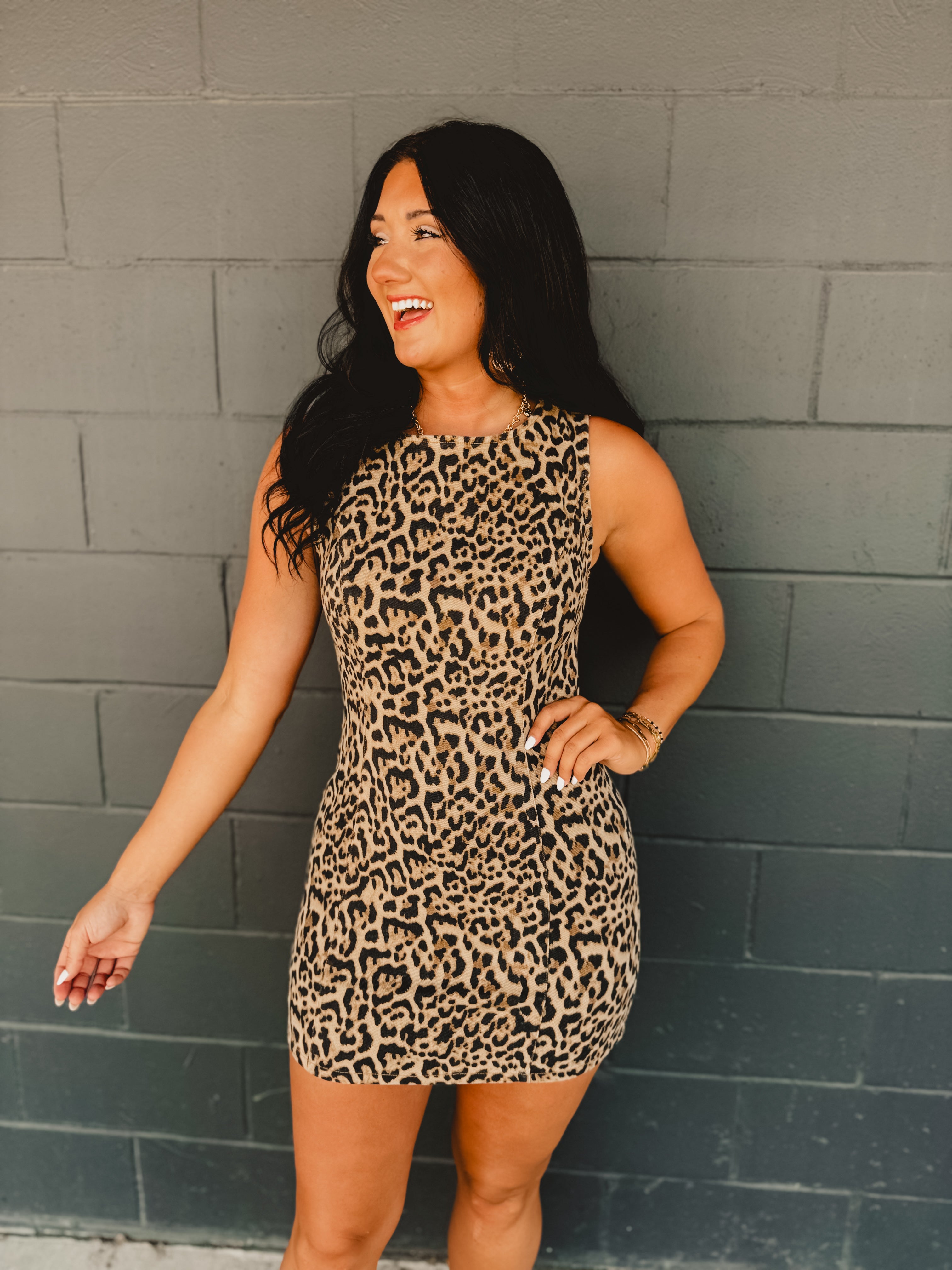 Leopard Denim Fit & Flare Mini Dress